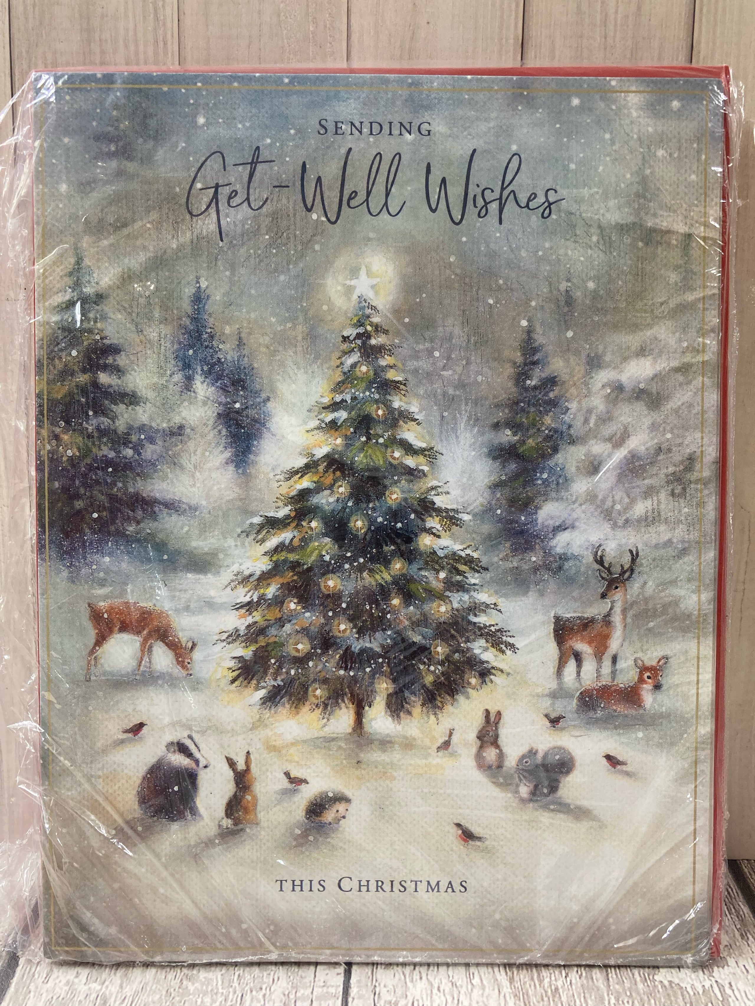 Sending get well wishes Christmas card | Centre books &amp; gifts